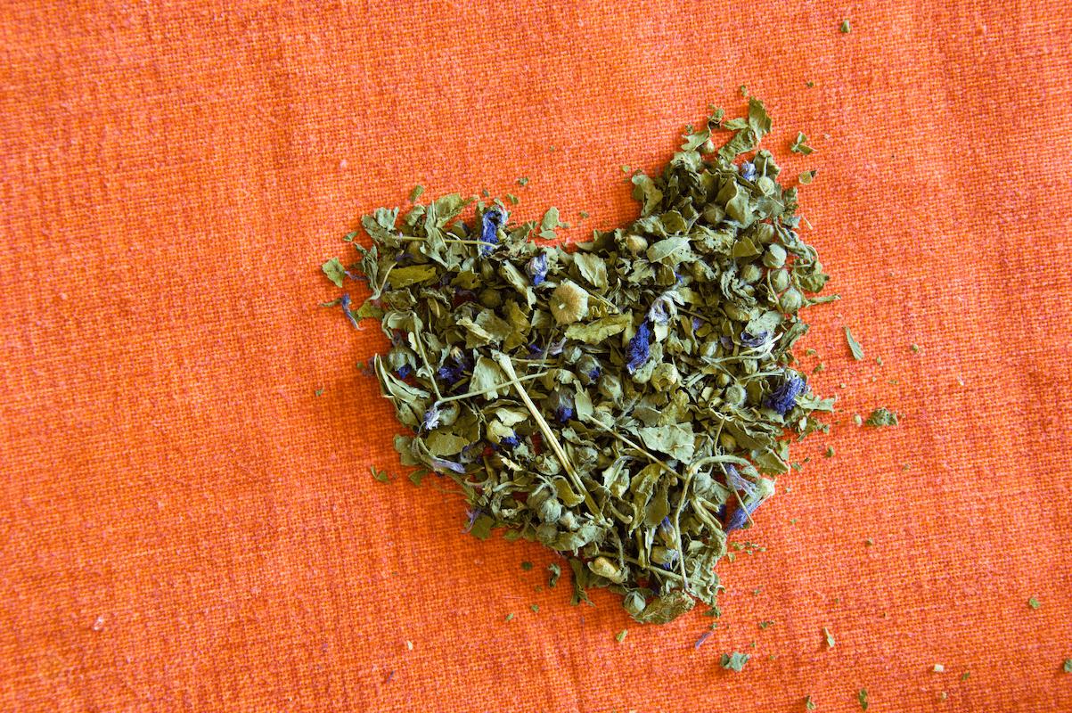 ¿Qué es la naturopatía holística?