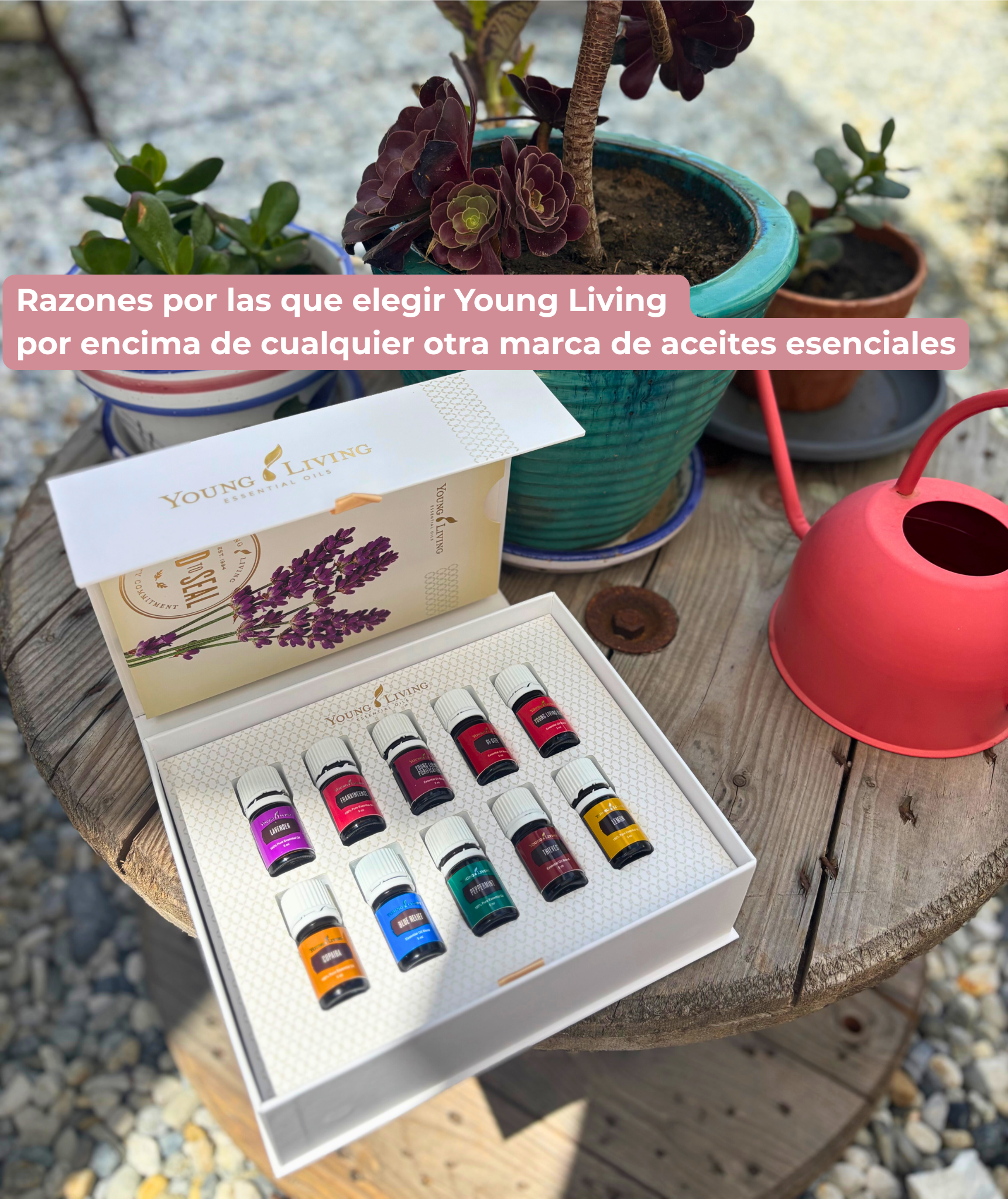 Razones por las que elegir Young Living por encima de cualquier otra marca de aceites esenciales