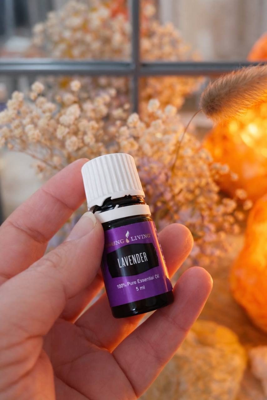 La lavanda: el aceite esencial que más ayuda en casa