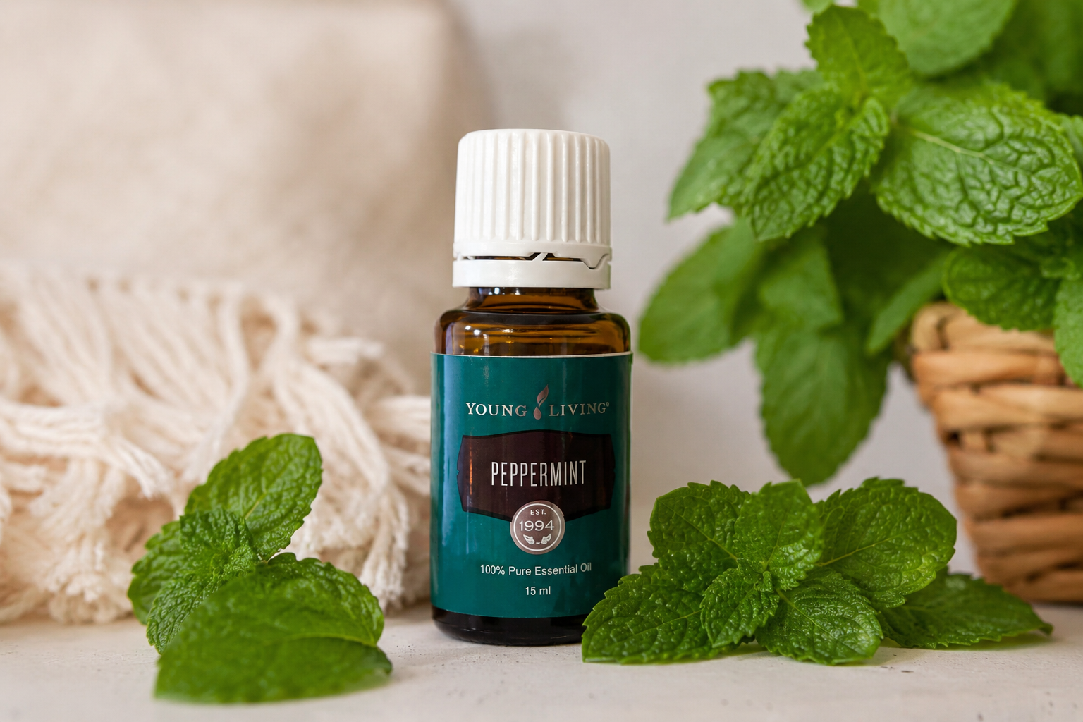 Aceite esencial de menta: frescor, enfoque y bienestar natural